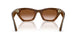690513 - Tortoise - Gradient Brown