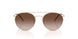 300213 - Gold - Gradient Brown