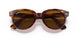 954/33 - Havana - Brown