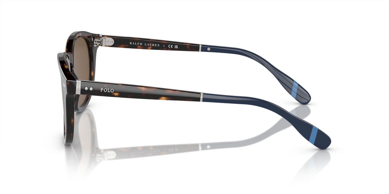 500373 - Brown - Brown