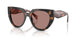 23A60B - Tortoise - Light Brown