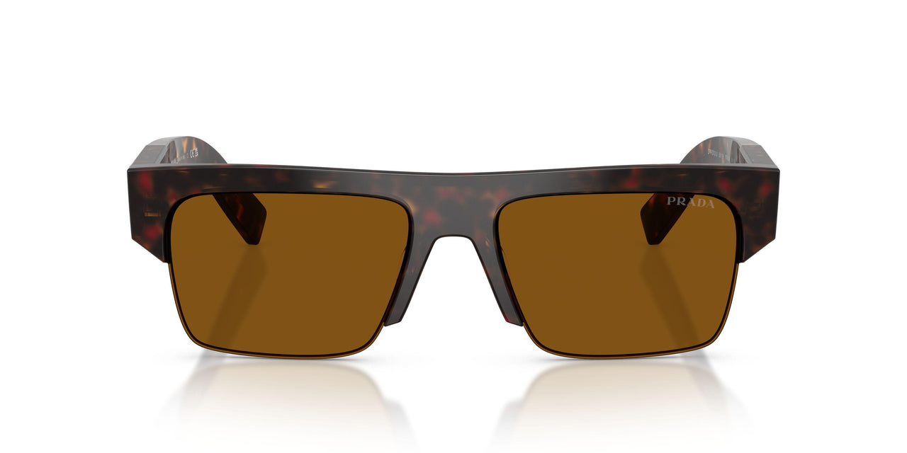17N20V - Tortoise - Dark Bronze