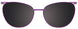 80 - Matt Purple & Shiny Gold