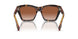 300213 - Brown - Brown Gradient