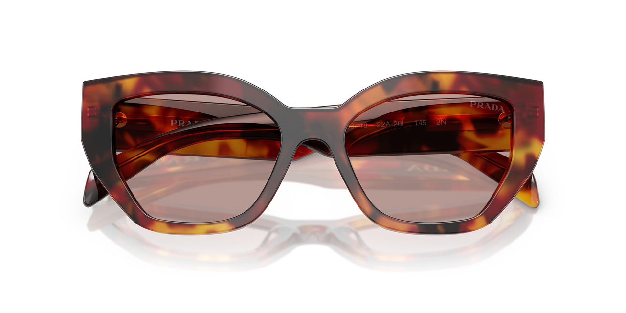 22A20I - Tortoise - Light Purple Brown