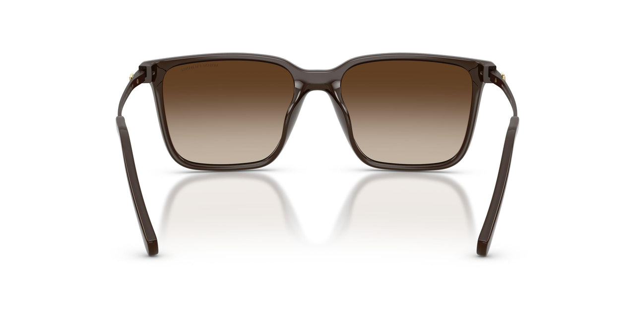 842213 - Brown - Brown Gradient
