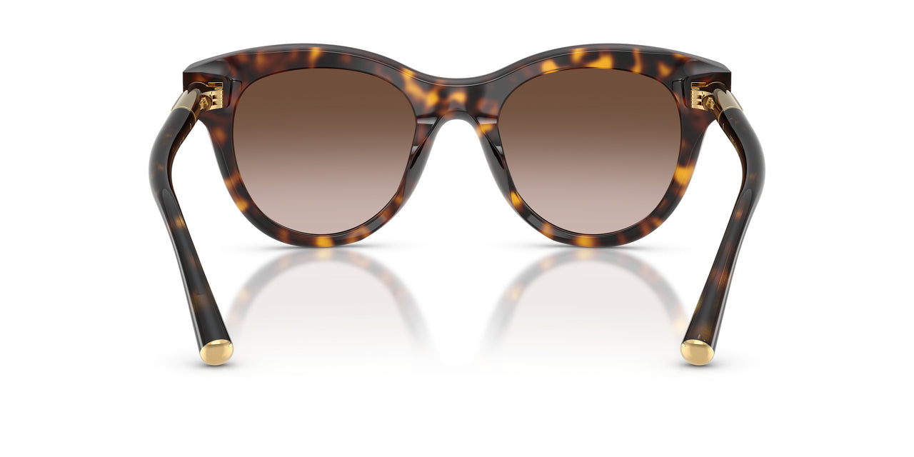 502/13 - Tortoise - Gradient Brown