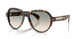 30022A - Tortoise - Light Brown Grad Light Green