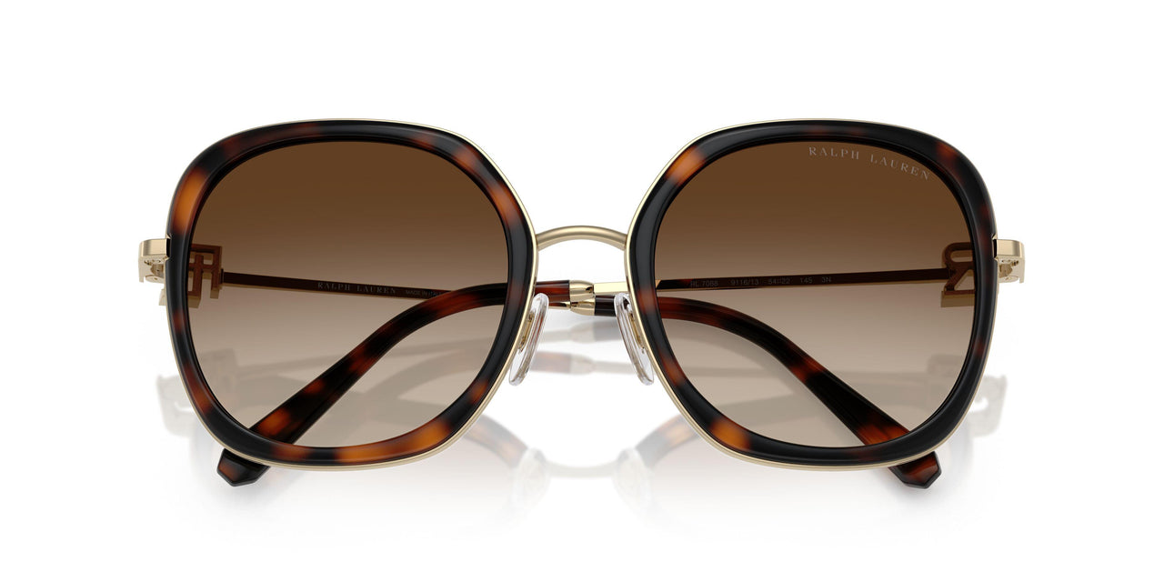 911613 - Brown - Gradient Brown