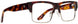 SpyOptic 570000 Eyeglasses