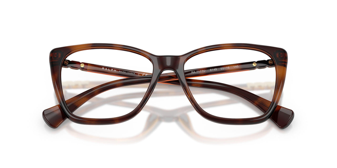 6149 - Tortoise