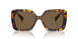 VAU06B - Tortoise - Dark Brown