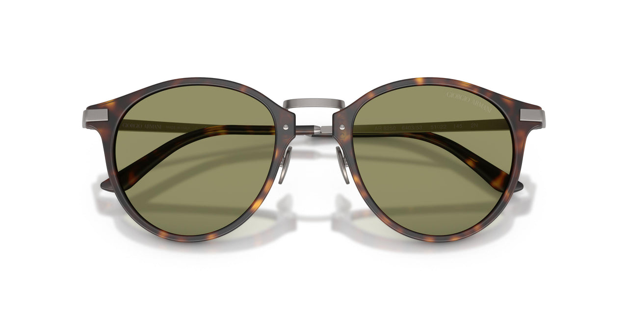 640353 - Tortoise - Green