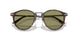 640353 - Tortoise - Green