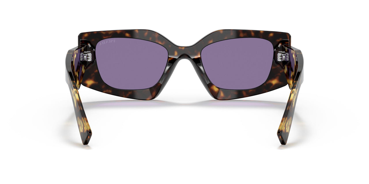 2AU05Q - Havana - Violet Mirror Internal Silver