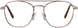 Serengeti SV581004 Eyeglasses