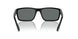 501/81 - Black - Polarized Grey