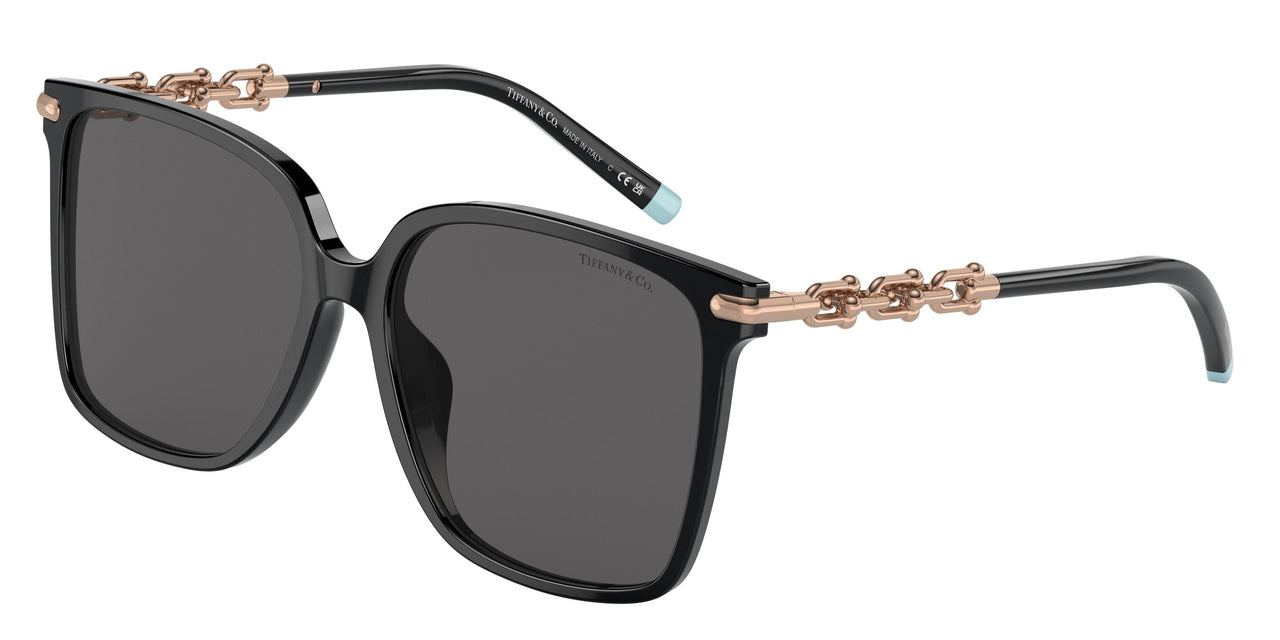 Tiffany 4194D Sunglasses