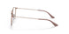 2973 - Light Brown