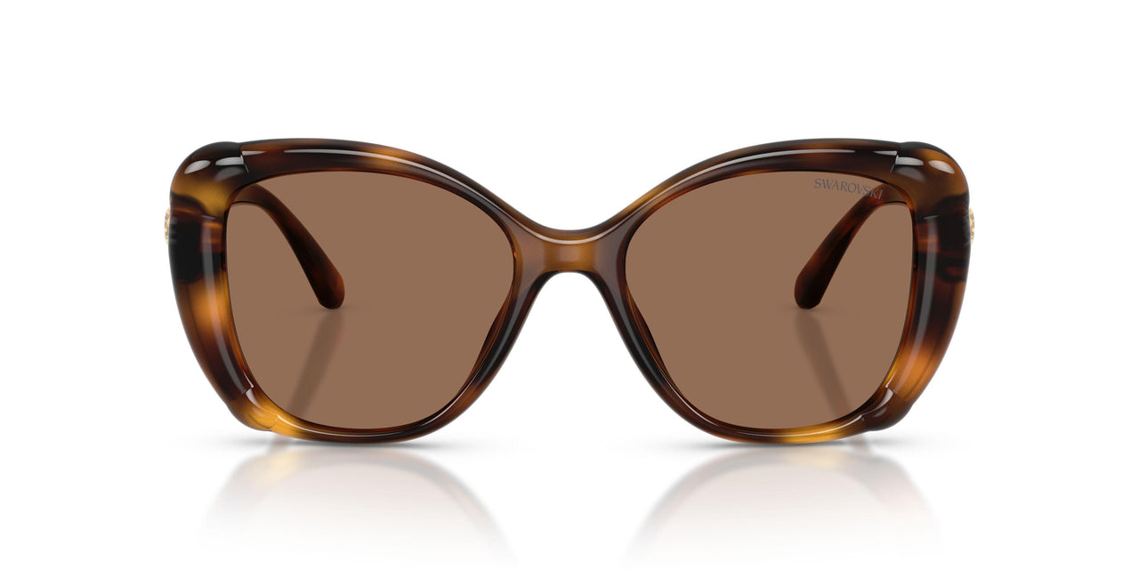 100273 - Tortoise - Dark Brown