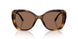 100273 - Tortoise - Dark Brown