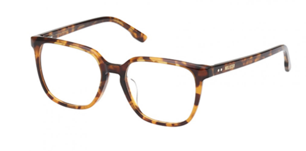 HOLLISTER 50040 Eyeglasses