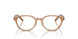 5654 - Brown