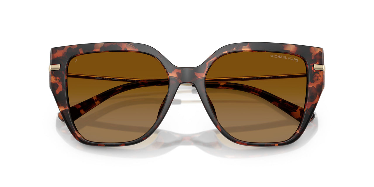 40319P - Tortoise - Brown Polar
