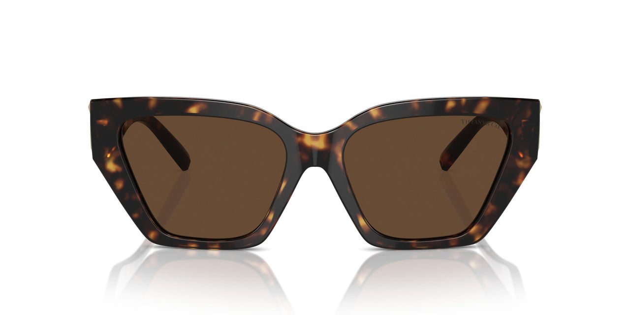 80153G - Tortoise - Light Brown