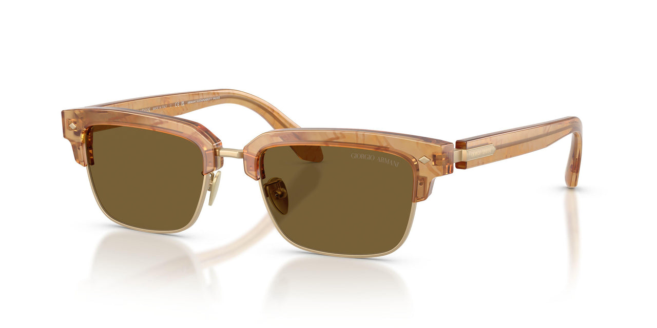 630073 - Tortoise - Dark Brown
