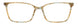 BTB - Brown/Blue
