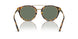 51345U - Tortoise - Green