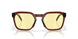 953310 - Brown - Prizm Gaming