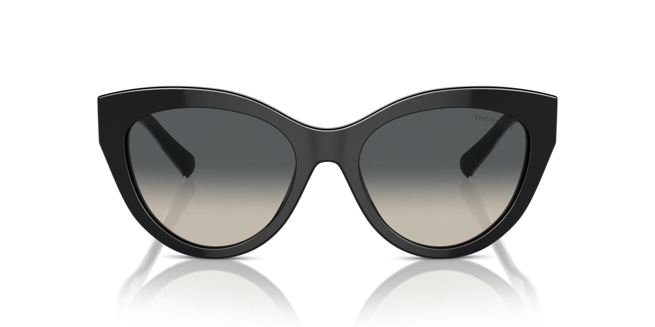800171 - Black - Grey Gradient
