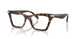 4031 - Tortoise