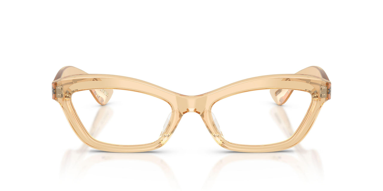 1766SB - Brown - Clear Blue Light Filter