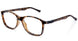 06 - BFLEX B-FLEXIBLE BROWN CAREY