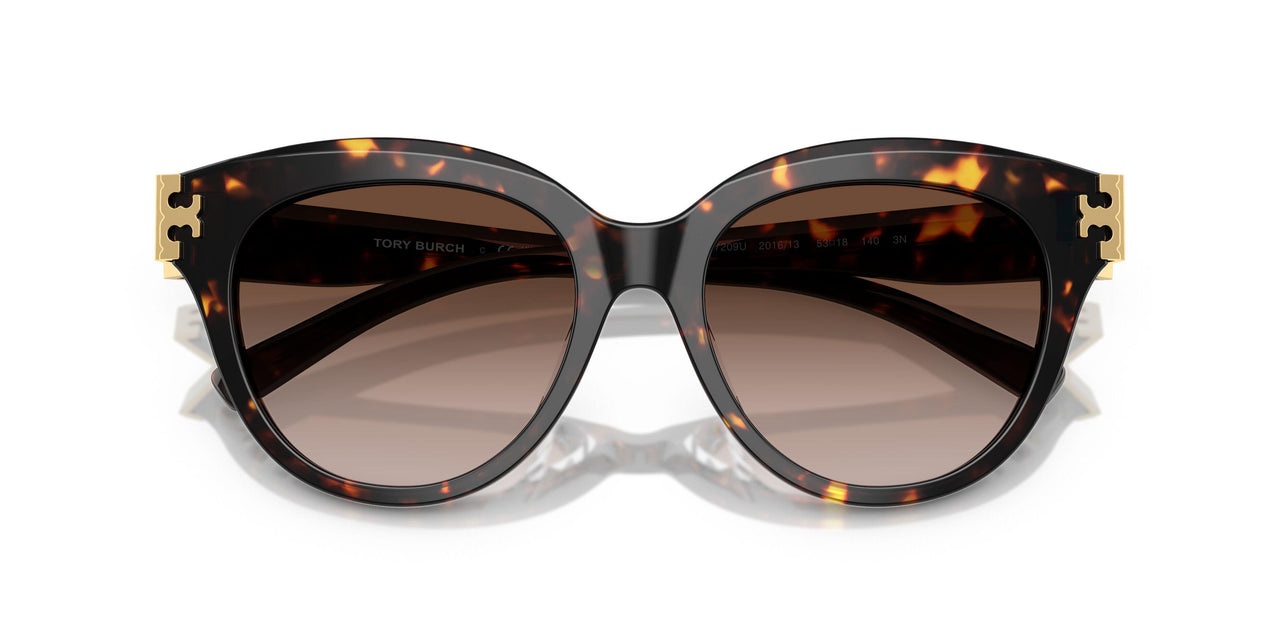 201613 - Tortoise - Brown Gradient