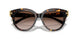 201613 - Tortoise - Brown Gradient