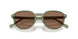 318773 - Green - Dark Brown