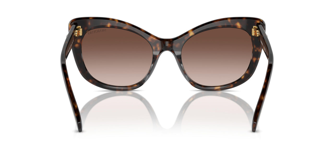 100213 - Tortoise - Gradient Brown