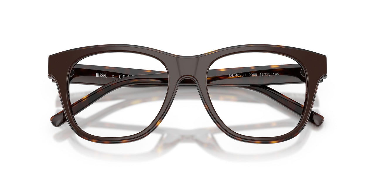 2069 - Brown