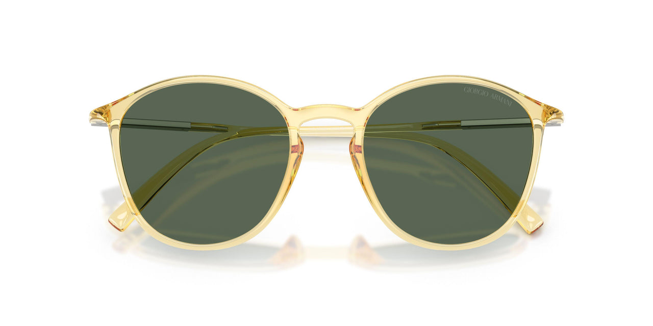 623871 - Yellow - Dark Green