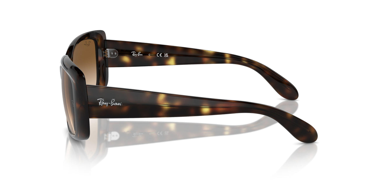 710/51 - Tortoise - Clear Brown