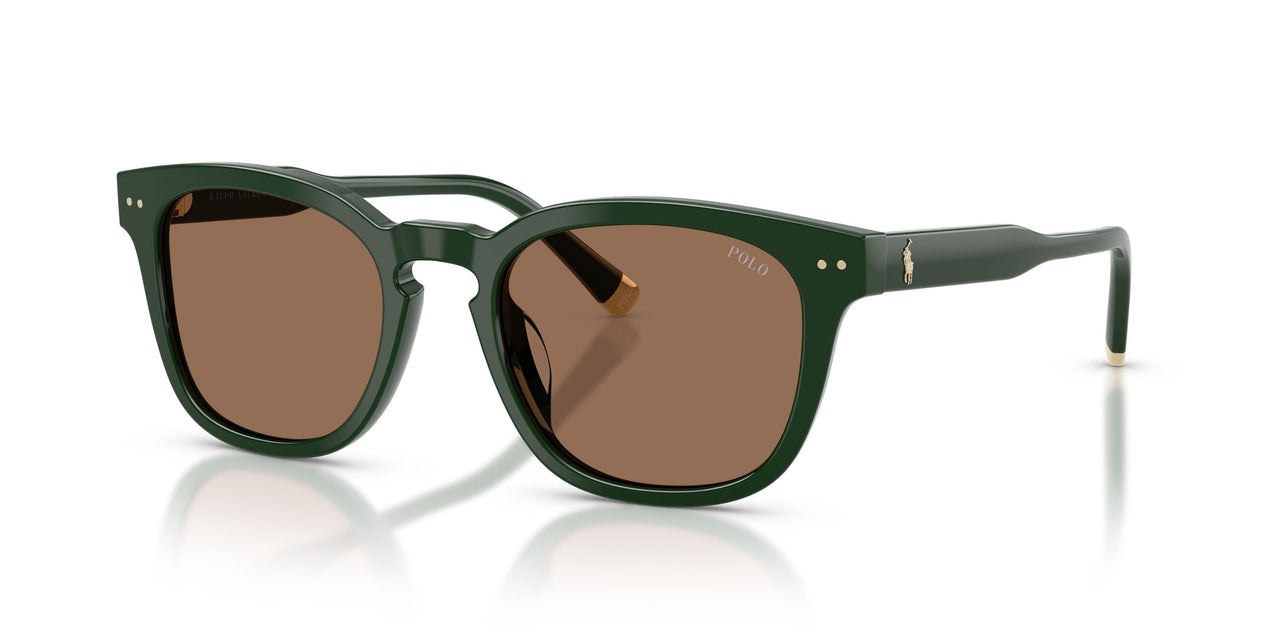 614073 - Green - Dark Brown
