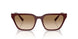 838389 - Red - Gradient Brown