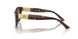500273 - Tortoise - Dark Brown