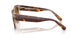 141451 - Tortoise - Clear Gradient Brown