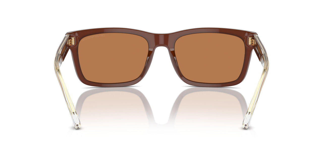 609573 - Brown - Brown