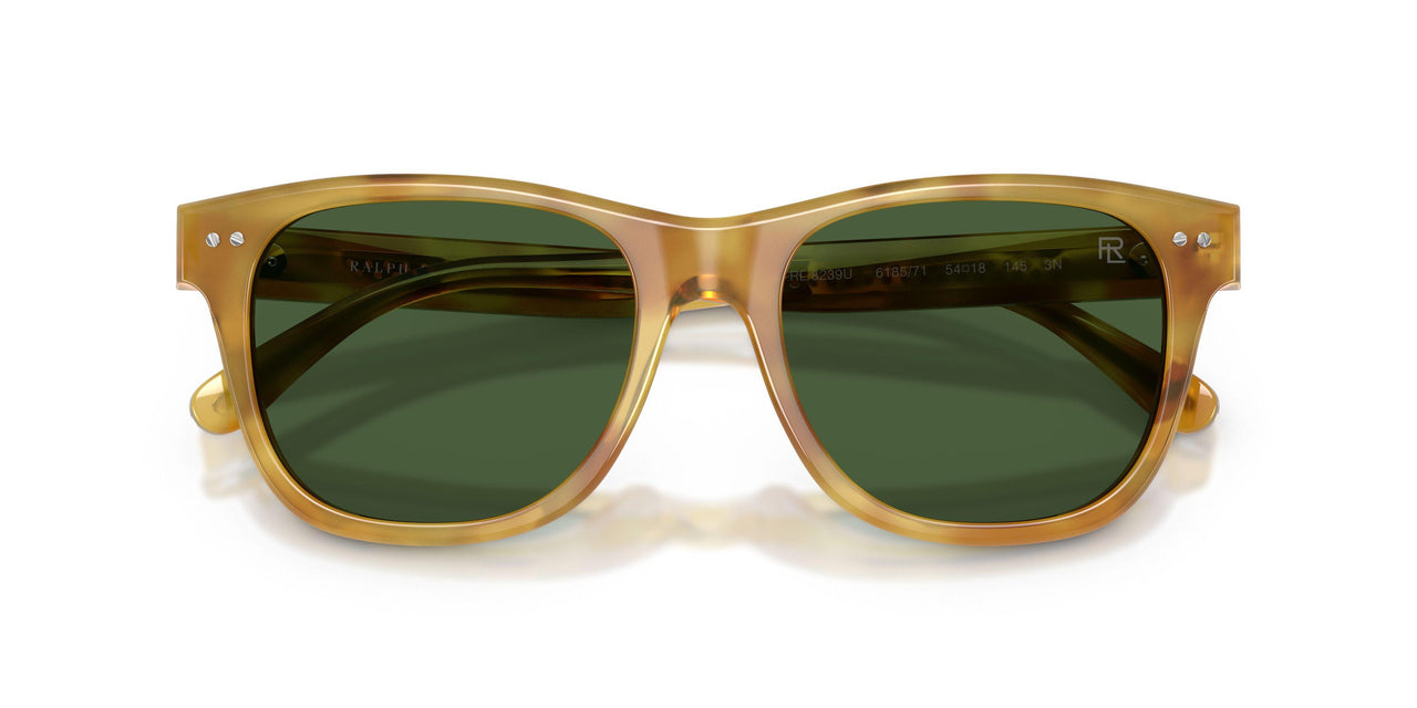 618571 - Tortoise - Bottle Green